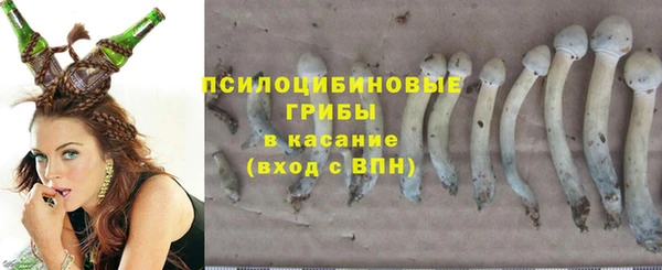 молекула духа Хадыженск